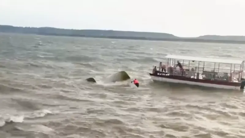 Bargi Dam Boat Accident: बरगी बांध में समाया पर्यटकों से भरा क्रूज, 40 जिंदगियों पर मौत का साया, 4 की मौत