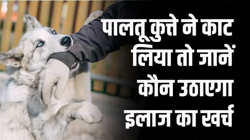 आपके पालतू कुत्ते ने किसी को काटा तो क्या होगा? जानें कौन उठाएगा इलाज का खर्च