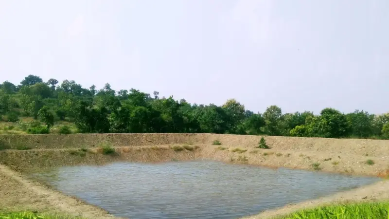 भंडारा में खेत तालाब योजना धीमी, 187 में सिर्फ 8 पूरे; किसानों को नहीं मिल रहा लाभ
