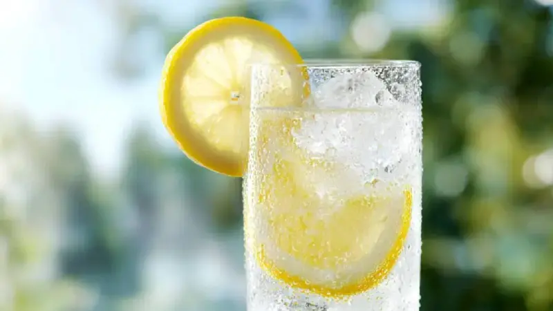 Refreshing Lemonade: গরমে তৃষ্ণার শান্তি, বানান ঝটপট লেমনেড!