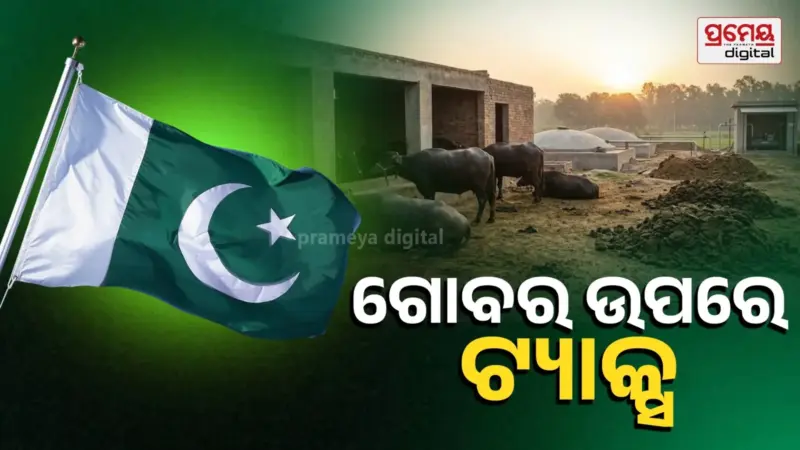 ପାକିସ୍ତାନରେ ମଇଁଷି ଗୋବର ଉପରେ ଟିକସ, ଦିନକୁ ୩୦ ପାକିସ୍ତାନ ମୁଦ୍ରା ଲାଗୁ