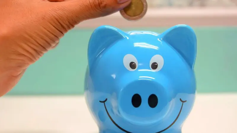Tax-saving FDs explained: Lock-in period, tax benefits and banks offering highest interest rates