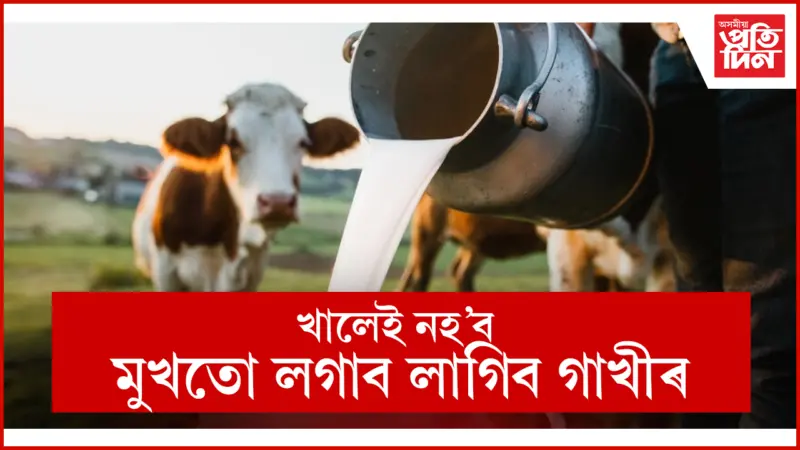 ছালৰ অধিকাংশ সমস্যাই সমাধান কৰে কেঁচা গাখীৰে