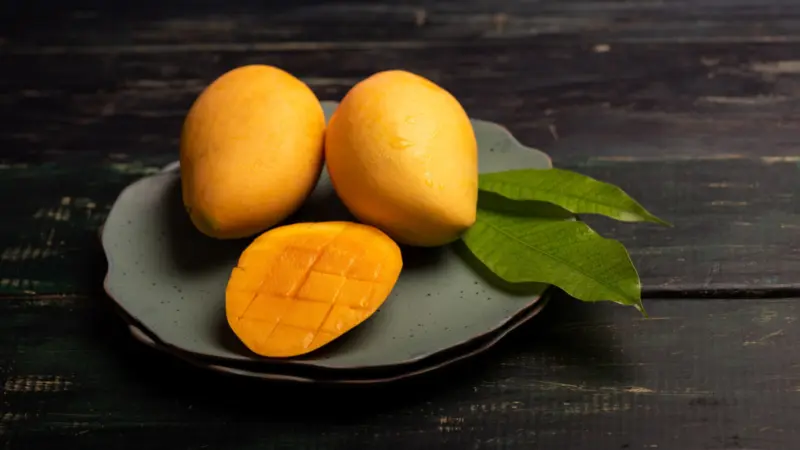 Why Kesar Mangoes Are Among India's Most Premium Fruits And Which City Is Famous For Them