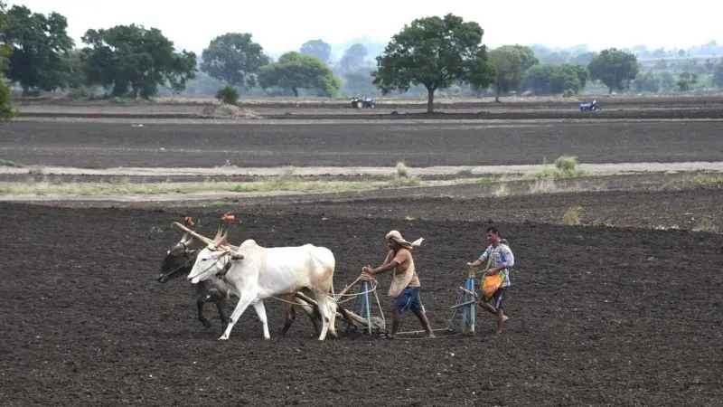 Study backs carbon credits for farmers in Karnataka