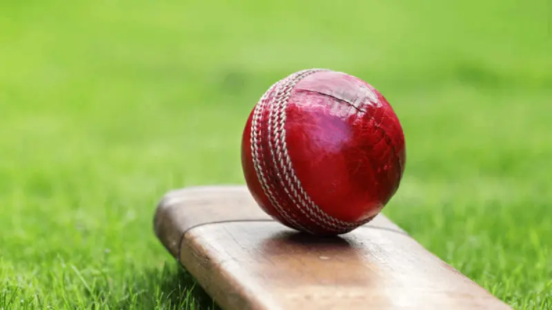 ವಿಶಾಖಪಟ್ಟಣದಲ್ಲಿ ಕ್ರಿಕೆಟ್ ದುರ್ಘಟನೆ; ರನೌಟ್ ತೀರ್ಪಿಗೆ ಶುರುವಾದ ಜಗಳ ಅಂಪೈರ್ ಕೊಲೆಯಲ್ಲಿ ಅಂತ್ಯ