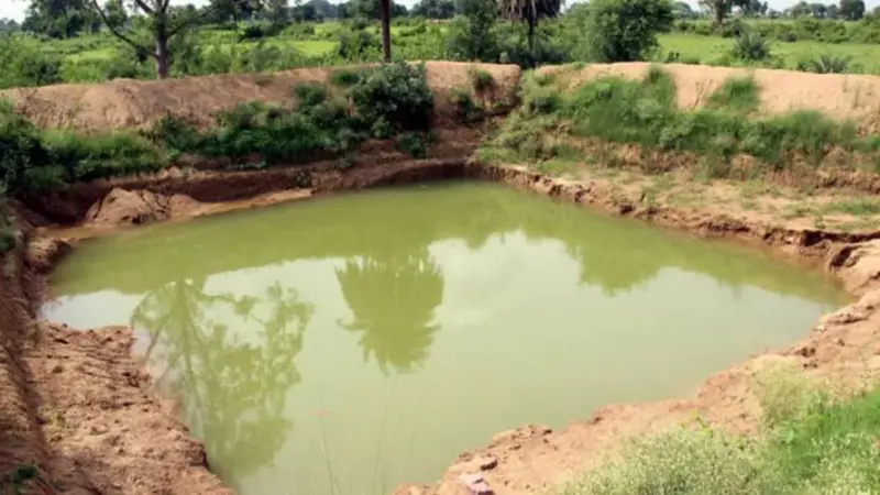गोंदिया में करोड़ों खर्च, फिर भी बेकार पड़े खेत तालाब! 'मांगेगा उसे खेत तालाब' योजना की चौंकाने वाली हकीकत