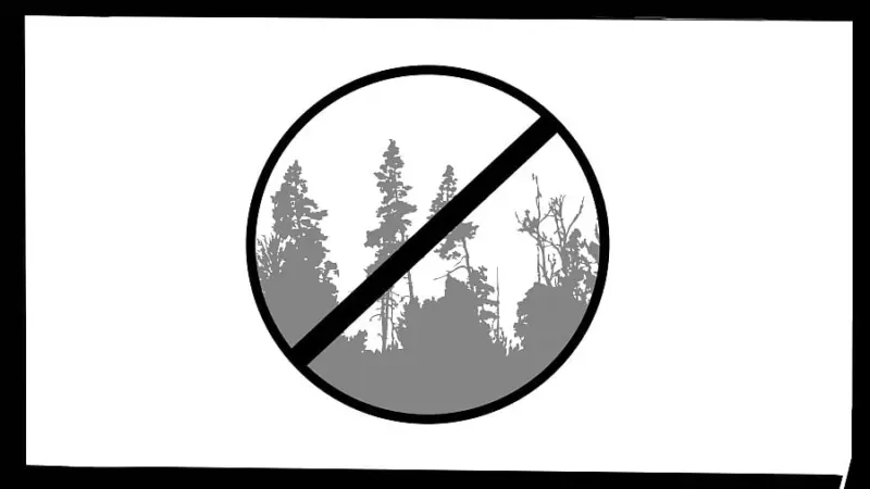 Can forest conservation make room for justice?