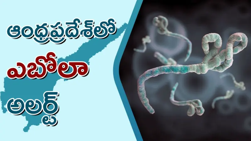 ఆంధ్రప్రదేశ్లో ఎబోలా అలర్ట్.. ఎయిర్పోర్టుల్లో స్క్రీనింగ్, ఆసుపత్రుల్లో ఐసోలేషన్ వార్డులు