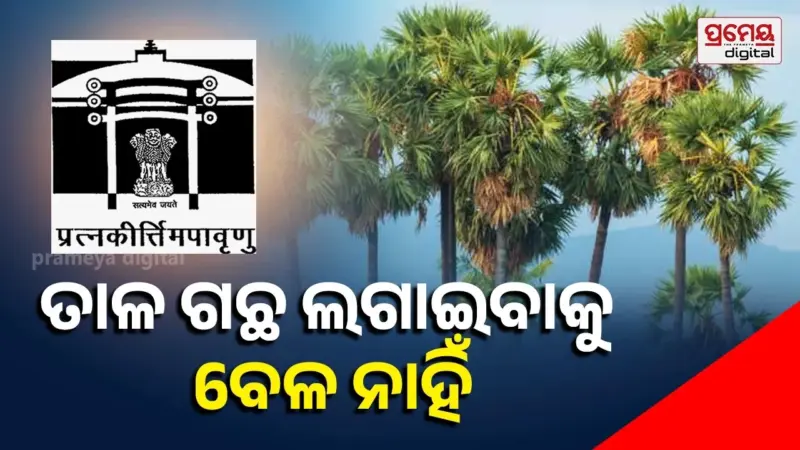 Palm Tree Plantation Project: କେତେ ବର୍ଷାଋତୁ ଗଲାଣି ହେଲେ ଲାଗିଲାନି ତାଳ ଗଛ, ଏକାମ୍ରରେ ଐତିହ୍ୟକୁ ଚଡ଼କ ଭୟ, ନିଘୋଡ଼ ନିଦ୍ରାରେ ଏଏସ୍‌ଆଇ
