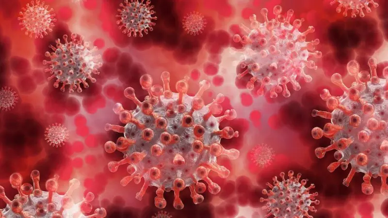 Where is hantavirus in US? North vs South America - researchers identify three emerging 'hotspots'