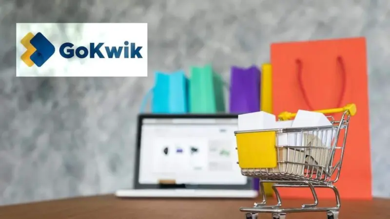 GoKwik launches AI-based shipping platform for D2C brands