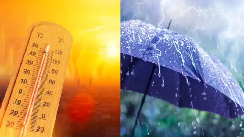 Maharashtra Weather Update: विदर्भात अवकाळी तर मुंबई-कोकणात उकाडा; काही ठिकाणी वादळी पावसाचा इशारा