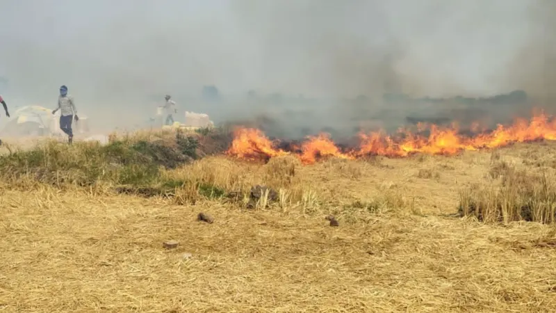 పెద్దపల్లిలో భారీ అగ్నిప్రమాదం.. రూ. 20 లక్షల ధాన్యం బుగ్గిపాలు