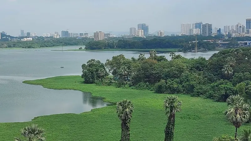 Environmentalists urge PM Modi for Ramsar status for Powai Lake in Mumbai