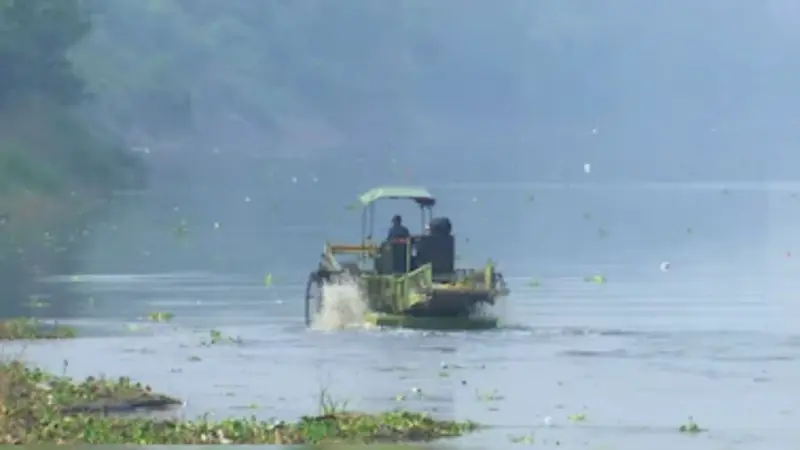 Delhi to introduce real-time Yamuna water monitoring system to tack river pollution