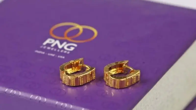 P N Gadgil Jewellers reports sales of ₹171 crore on Gudi Padwa, revenue up 124% YoY in Q4; check business updates