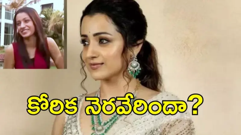 నేను సీఎం అవుతా త్రిష కోరిక నెరవేరినట్టేనా..వైరల్ అవుతున్న వీడియో!