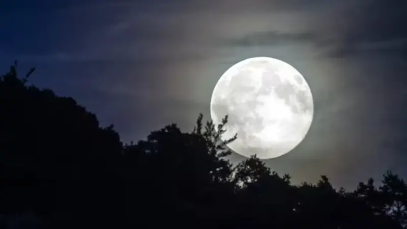 చంద్రుడిపై ప్లాట్ల అమ్మకాలు..ఇప్పటికే రూ. 100 కోట్లు సంపాదించారు !!