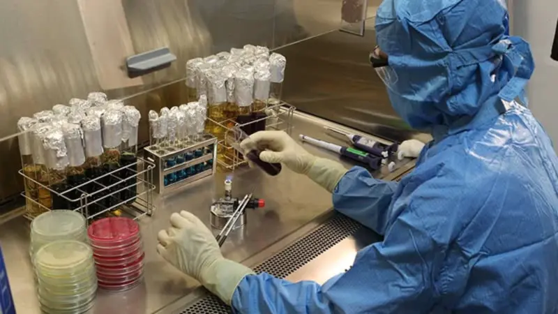 Lupin, Natco Pharma gets USFDA approval for breast cancer injection; here's how the stocks are faring