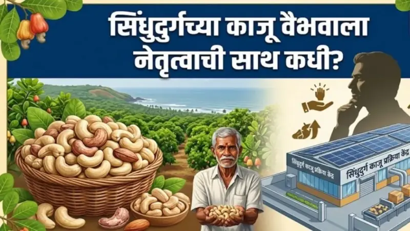 सिंधुदुर्गच्या काजू वैभवाला नेतृत्वाची साथ कधी ?