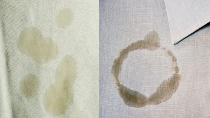 Stain Removal: துணிகளில் எண்ணெய்- டீ கறைகளா..? நொடிப்பொழுதில் இப்படி நீக்கலாம்!