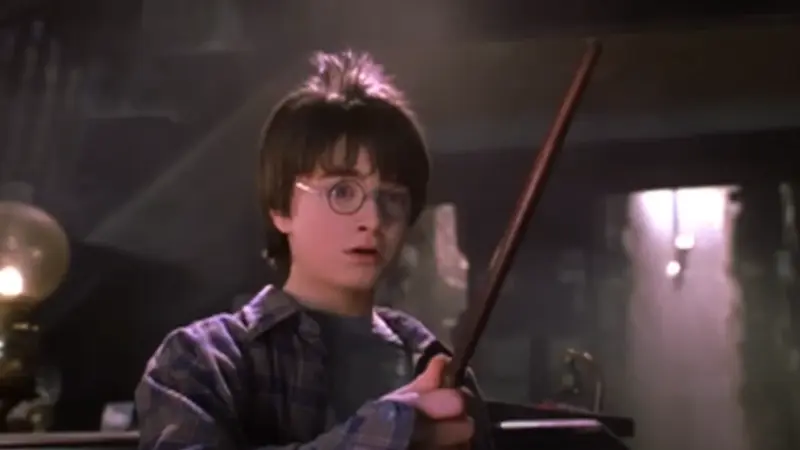 Harry Potter Director Chris Columbus to NOT be Part of Upcoming HBO Series Adaptation: Here's Why