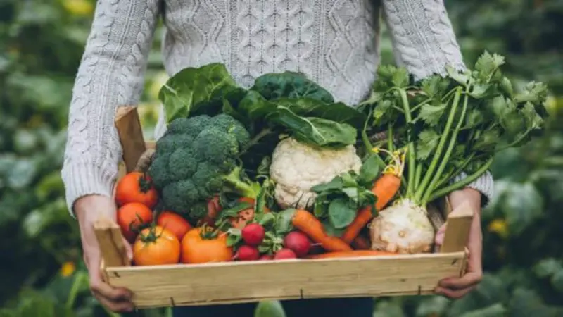 How to find fresh organic vegetables in Africa
