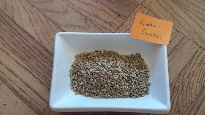 Ajwain water benefits: How it helps digestion, cholesterol and overall health