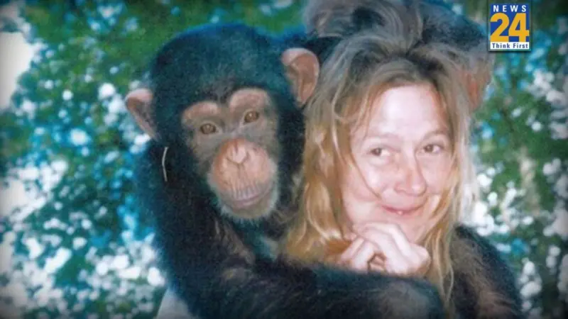 The Travis the Chimp Case: A terrifying attack that destroyed a woman's face and shook the whole nation