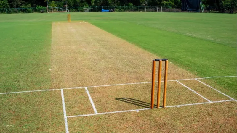Two Sri Lanka U-19 players released on bail amid allegations of filming players in hotel