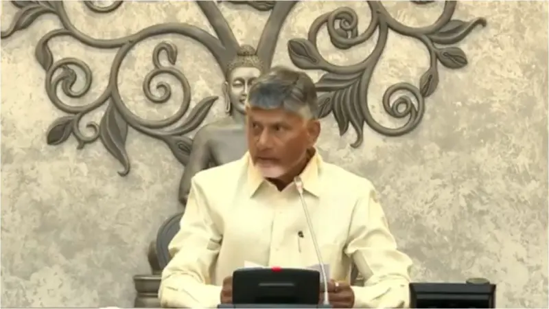 TDP :  మహానాడు నిర్వహణపై సీఎం చంద్రబాబు కీలక నిర్ణయం!