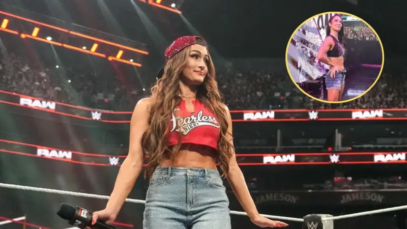 Nikki Bella Reacts to a Fan Asking Her About Potentially Facing AJ Lee Again in WWE