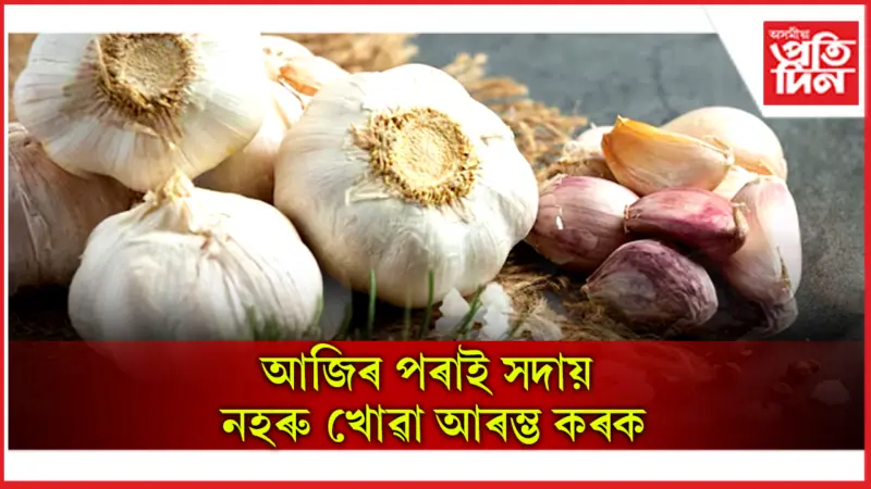 Garlic Health Benefits: কেৱল উচ্চ ৰক্তচাপেই নহয়, আন বহু ৰোগৰো ঔষধ নহৰু