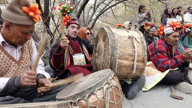 Apricot Blossom Festival  begins in Ladakh