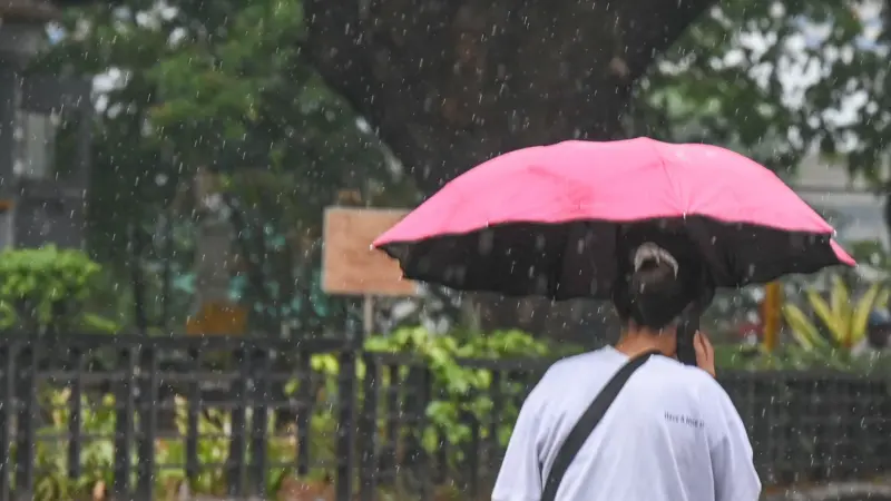 Sunday rains uproot trees, cause traffic snarls in Bengaluru