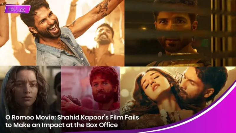 O Romeo Movie: Shahid Kapoor's Film Fails to Make an Impact at the Box Office
