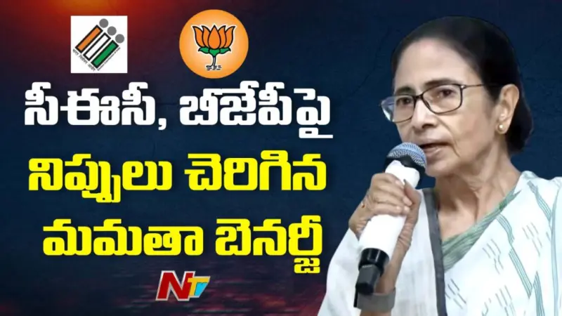 Mamata Banerjee: టీఎంసీ ఓడిపోలేదు.. విలన్లతో పోరాడింది.. మమత సంచలన ఆరోపణలు