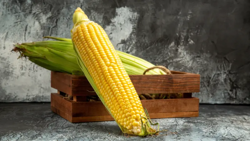 Which Country Grows The Most Corn In The World