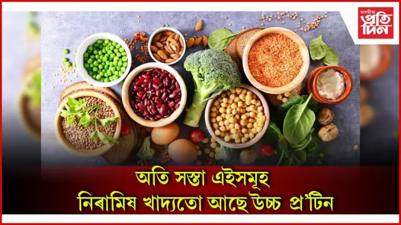 Protein Diet: কণীতকৈ অধিক প্ৰ'টিন থাকে এই ৫ খাদ্যত