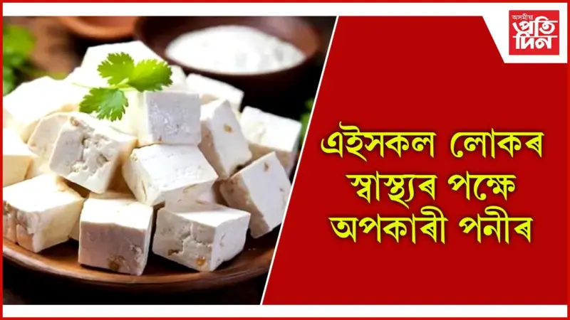 উপকাৰী পনীৰৰো আছে অপকাৰী গুণ