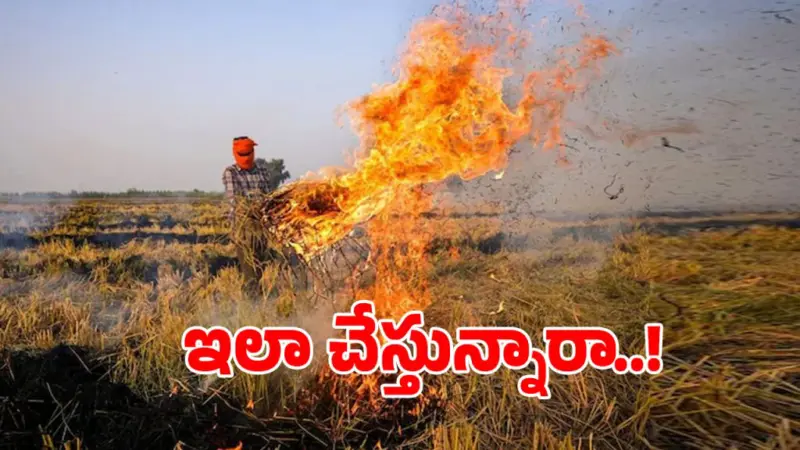 పంట వ్యర్థాలను పొలంలో కాల్చేస్తున్నారా.. అయితే మీరు ఫైన్ కట్టాల్సిందే?
