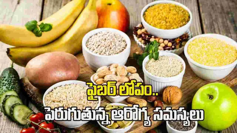 ప్రతి 10 మందిలో ఏడుగురికి ఫైబర్ లోపం.. షాకింగ్ రిపోర్ట్