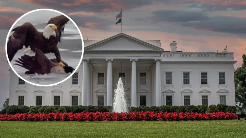 White House Drops Post Mocking Canada Following Winter Olympics Win Over Them In The Gold Medal Match
