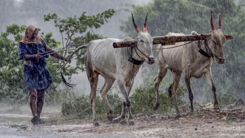 News in Pics | May 4, 2026: Best photos from around the world