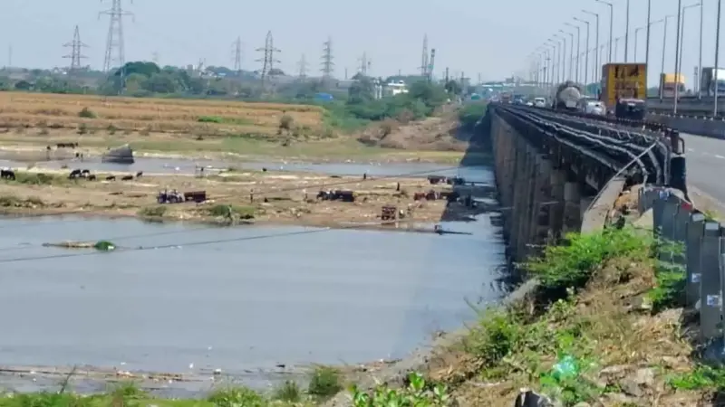 Illegal sand mining in Tungabhadra raises alarm over Bridge safety and looming drinking water crisis