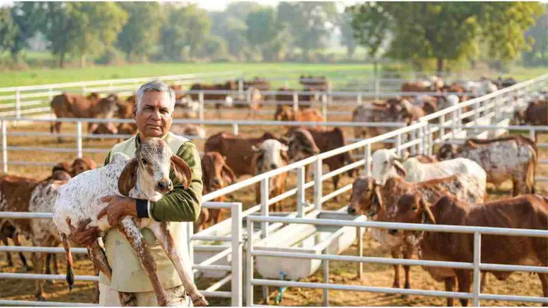 Meet Surendra Awana: The Visionary Farmer Behind TharPure's Authentic A2 Ghee