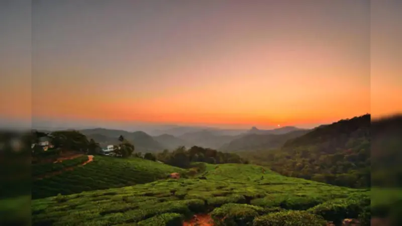 Western Ghats Travel Guide: 7 Reasons It's More Than a Wildlife Destination