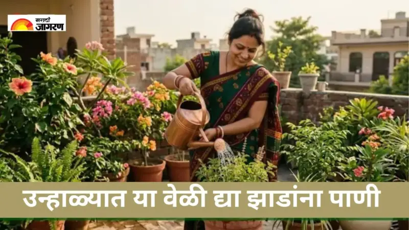Plant Caring Tips in Summer: जाणून घ्या उन्हाळ्यात झाडांना पाणी देण्याची योग्य वेळ; अन्यथा होऊ शकते तुमच्या झाडांचे नुकसान