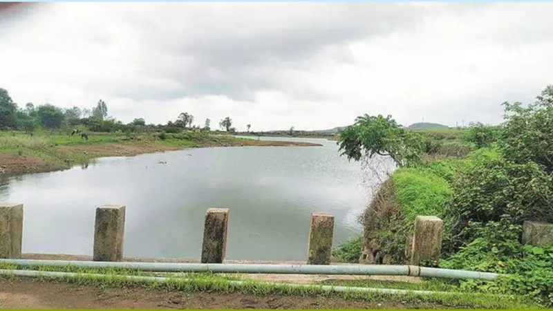 सूखा पीछे छूटा, जलयुक्त शिवार से बदली गोंदिया की तस्वीर 10 हजार हेक्टेयर को सिंचाई, लहलहाए खेत